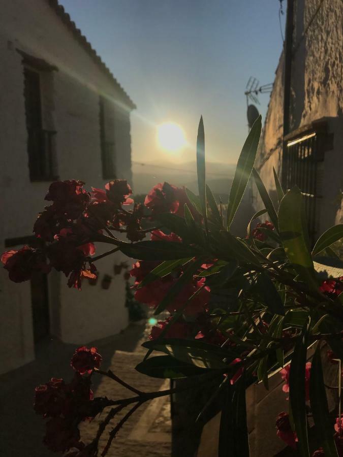 Casa Moraleda Guest House Benalauria Bagian luar foto